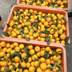 精诚合作共赢。。