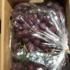 巨峰葡萄大量供应口感甜