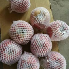 运城万荣冰糖心纸加膜红富士苹果货好价廉