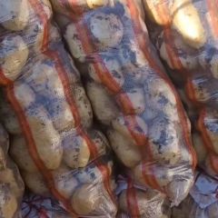 自家种植土豆，保证品质