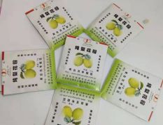 厂家直销赵州雪花梨梨花粉质量保证价格优惠