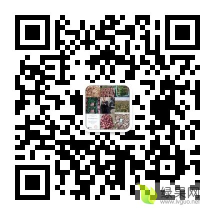 mmqrcode1608733291628.png