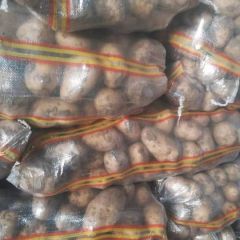 土豆量大价格优惠 老板联系