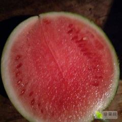 河南商丘夏邑西瓜产地供应
