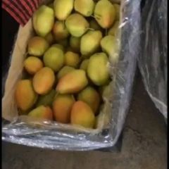 陕西红香酥梨价格，香梨批发