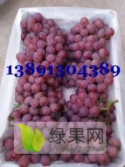 陕西冷库红提葡萄产地。冷库克伦生葡萄出库价格