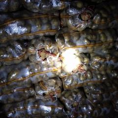 诚信为本，结交天下朋友，