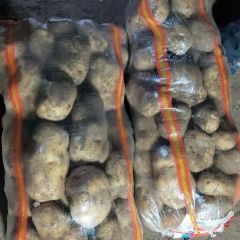 各类精品土豆原包水洗干洗均有欢迎各位老板联系