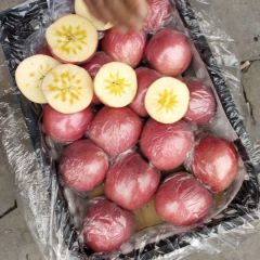 山西高山冰糖心可供电商平台 社区团购