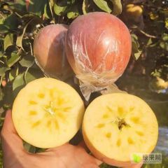 山西运城临猗冰糖心丑苹果，回头率杠杠滴