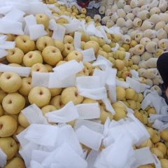 大量供应砀山酥梨(贡梨)！