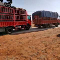 常年代理武川县土豆销往全国各地