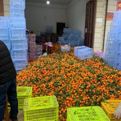 沙糖桔好货不多了，需要的老板欢迎来电