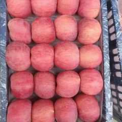 红富士苹果批发，冷库红富士苹果价格