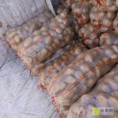 常年供货 价格不高 库里货 价格品质优良