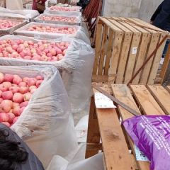 栖霞红富士苹果80以上 本人存冷库有150多吨