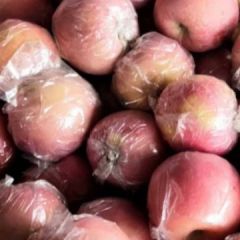 冰糖芯红富士价格便宜。有意者联系我