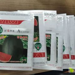 黑皮甜王西瓜种子 甜王西瓜种子哪个好？