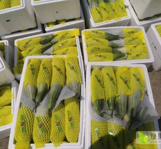 2021年山东寒亭羊角蜜价格