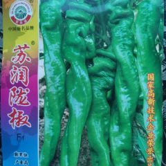 陇椒种子长度30－35厘米，粗4厘米油绿色