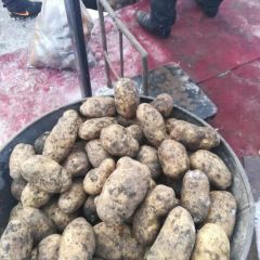 形状好，颜色好，个头大，资深种植马铃薯大户