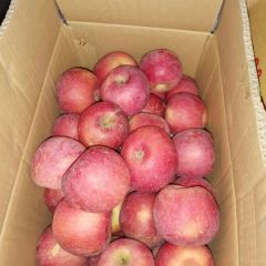 瓦房店红富士苹果，瓦房店产苹果不用说，口感品质好