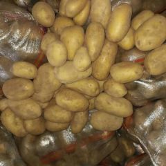 沽源县精品V7土豆，张小云