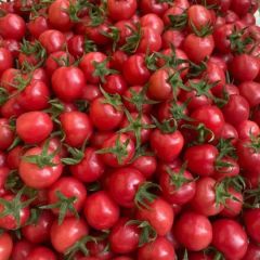 圣女果（千禧、贝贝、釜山88） 黄瓜 芸豆