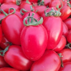 河南滑县圣女果产地直供大量出售代发全国