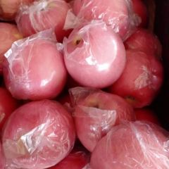 山西万荣纸加膜红富士产地直销