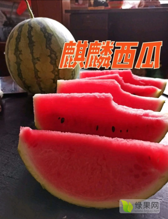 麒麟西瓜价格