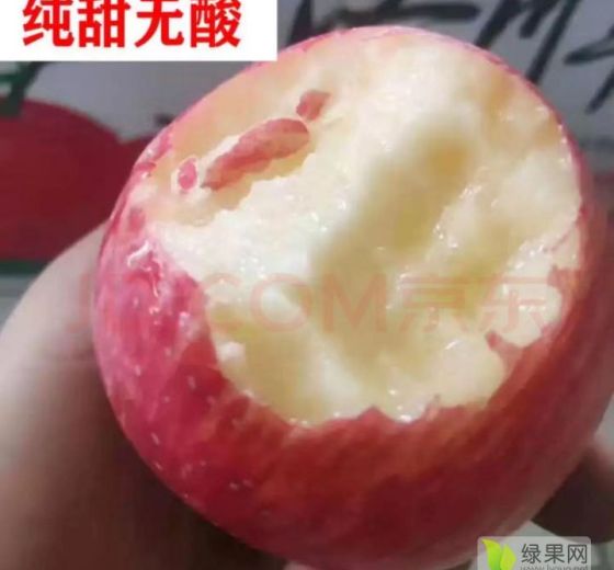 2016年陕西大荔红富士价格