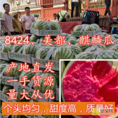 西瓜产地网-2021年河南西瓜价格行情_西瓜批发