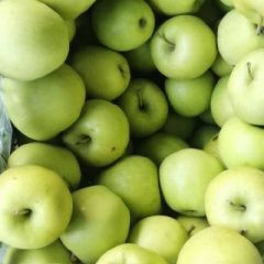 辽宁省海城市黄元帅，苹果质量好口感脆脆甜