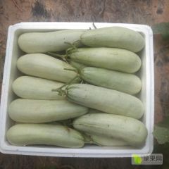 甜瓜这几天落价需要的联系我