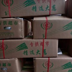 福建漳浦铁杆大葱