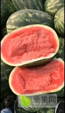 陕西蒲城县园田居果业产地直供代收代发全国各地蔬菜水果