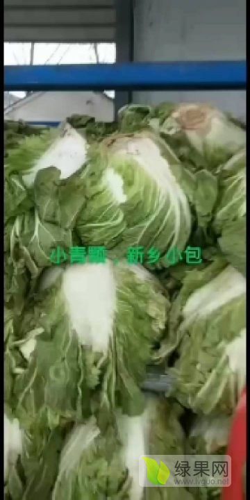 2021年河南通许北京新三号价格