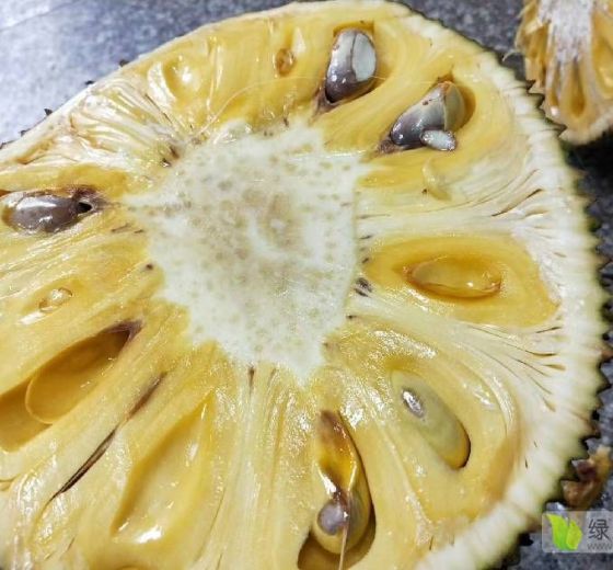 2021年海南琼海菠萝蜜价格