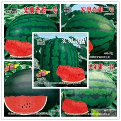 2021甜王西瓜 甜王西瓜种子 西瓜种子
