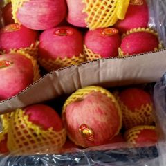 大量供应冷库精品落川红富士苹果