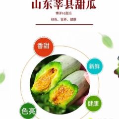 山东莘县圣女果甜瓜大量上市