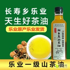 广西油纯正茶油500ml 茶籽油食用油小瓶装压榨