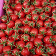 滑县四季宏润果蔬专业合作社