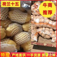 冷库土豆大量供应，箱装，袋装，框装各种规格，