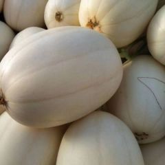 东方密，红金蜜，晓密25，久红瑞，玉姑大量上市