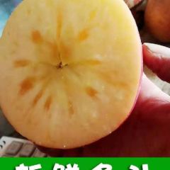 聊城红富士苹果 膜袋 75上不封顶，欢迎来订购
