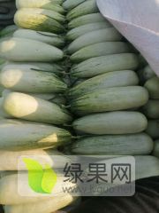 2021年宁夏永宁羊角蜜价格