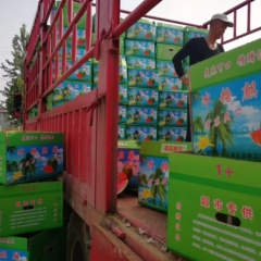 河南省夏邑县西瓜批发夏邑西瓜供应基地