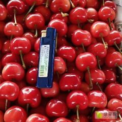 安丘市红灯大量上市，美早先锋！